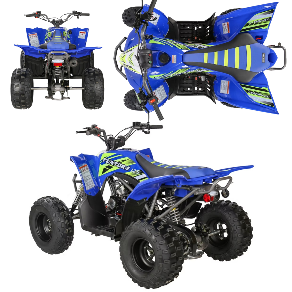 PENTORA 125cc ATV – Automatic | Reverse | Youth 4-Wheeler