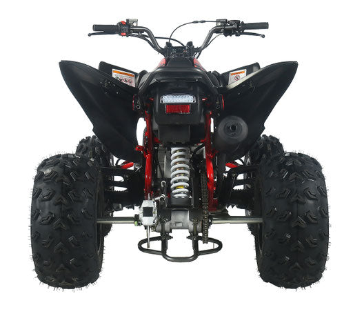 PENTORA 200 EFI ATV